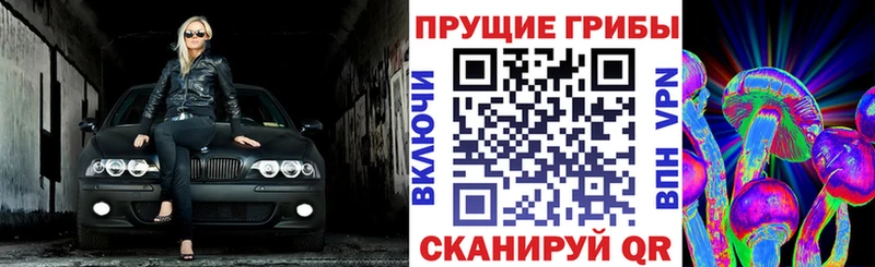 Галлюциногенные грибы Psilocybine cubensis  Тотьма 